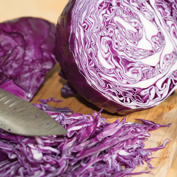 Martin Riendeau Gardens | Photo of a partially cut red cabbage